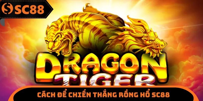Cách để chiến thắng rồng hổ SC88